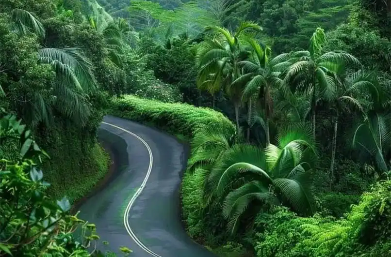 An awesome full day Hana Trip