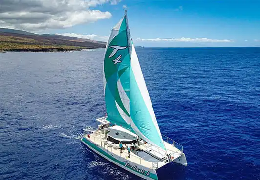 Kaanapali Premier Snorkel is the top snorkel trip on Maui